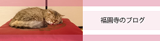 福圓寺のブログ